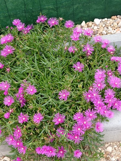 Onglerie Germinoise, Salon de Manucure à Saint-Germain-du-Puy