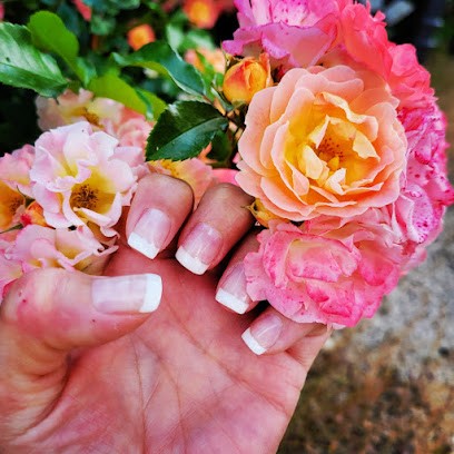 ONGLERIE Lady Dream Depuis 2009 - Talant, Salon de Manucure à Talant