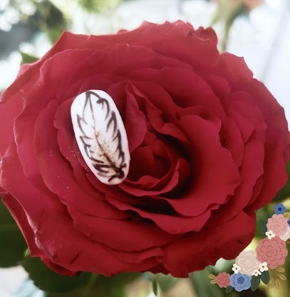 Onglerie Marine, Salon de Manucure à Saulxures-lès-Vannes