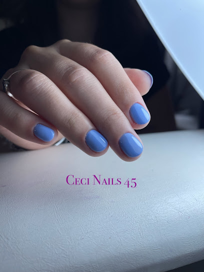 Ceci Nails 45, Manucure à Villorceau